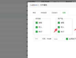 启用显示没有文件没有写入权限